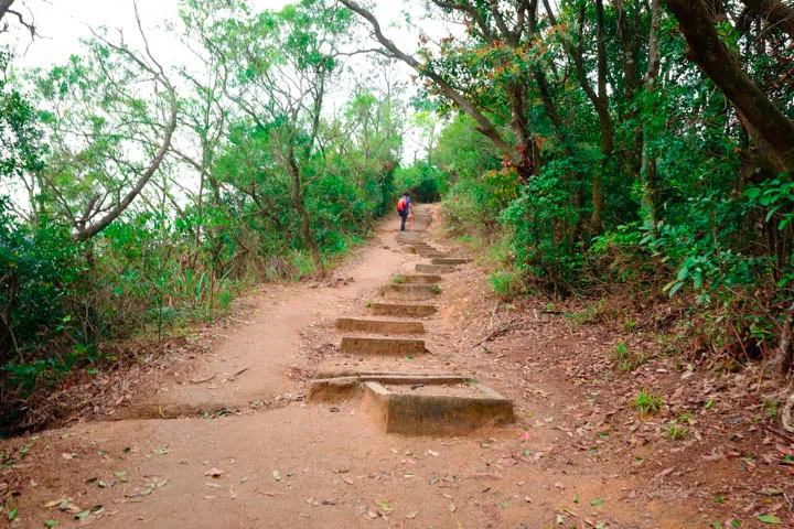 Maclehose Trail Section 5’s gradual ascent.